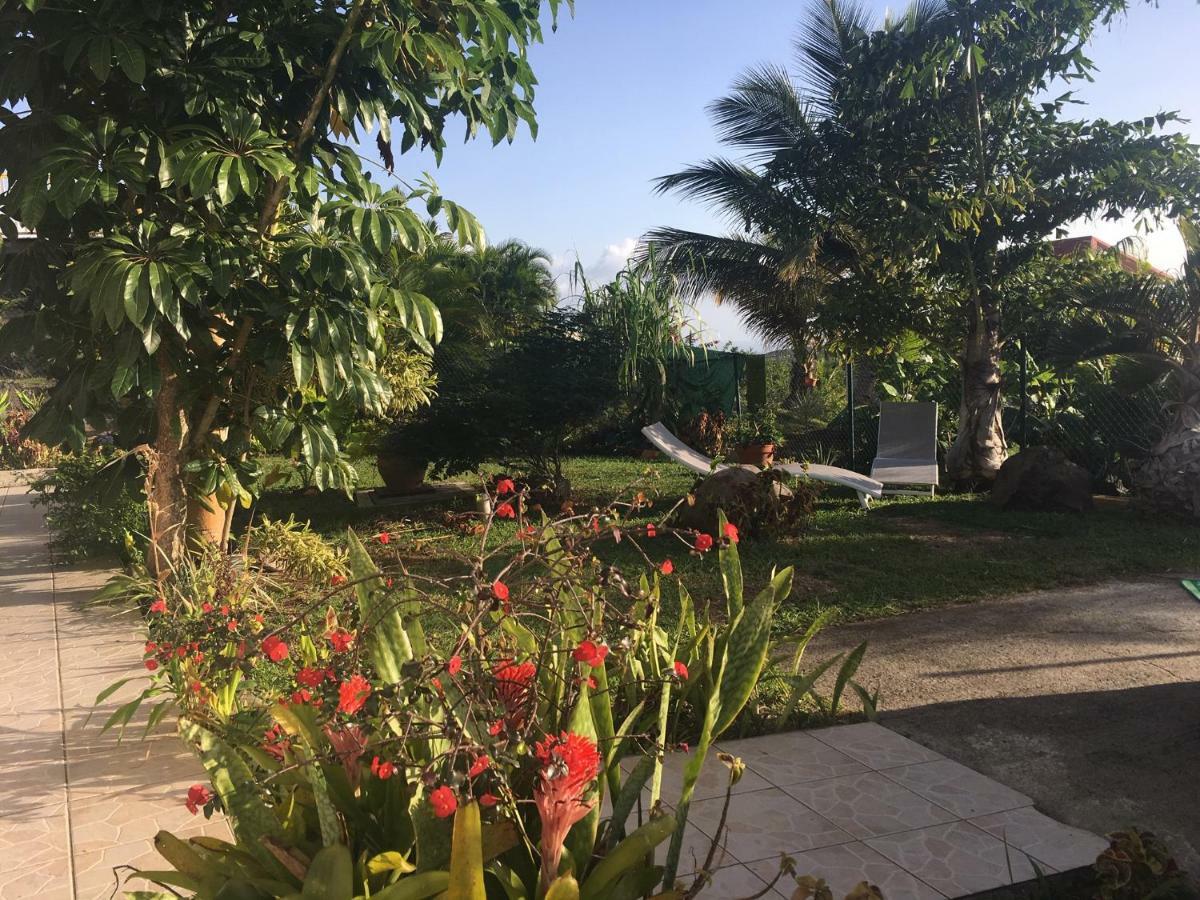 Villa A Rabica - Extrait De Cafe بوانت-نوار المظهر الخارجي الصورة
